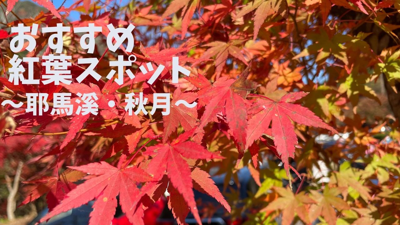 九州おすすめ紅葉スポット 耶馬溪 秋月 Tabimaru Trip Blog